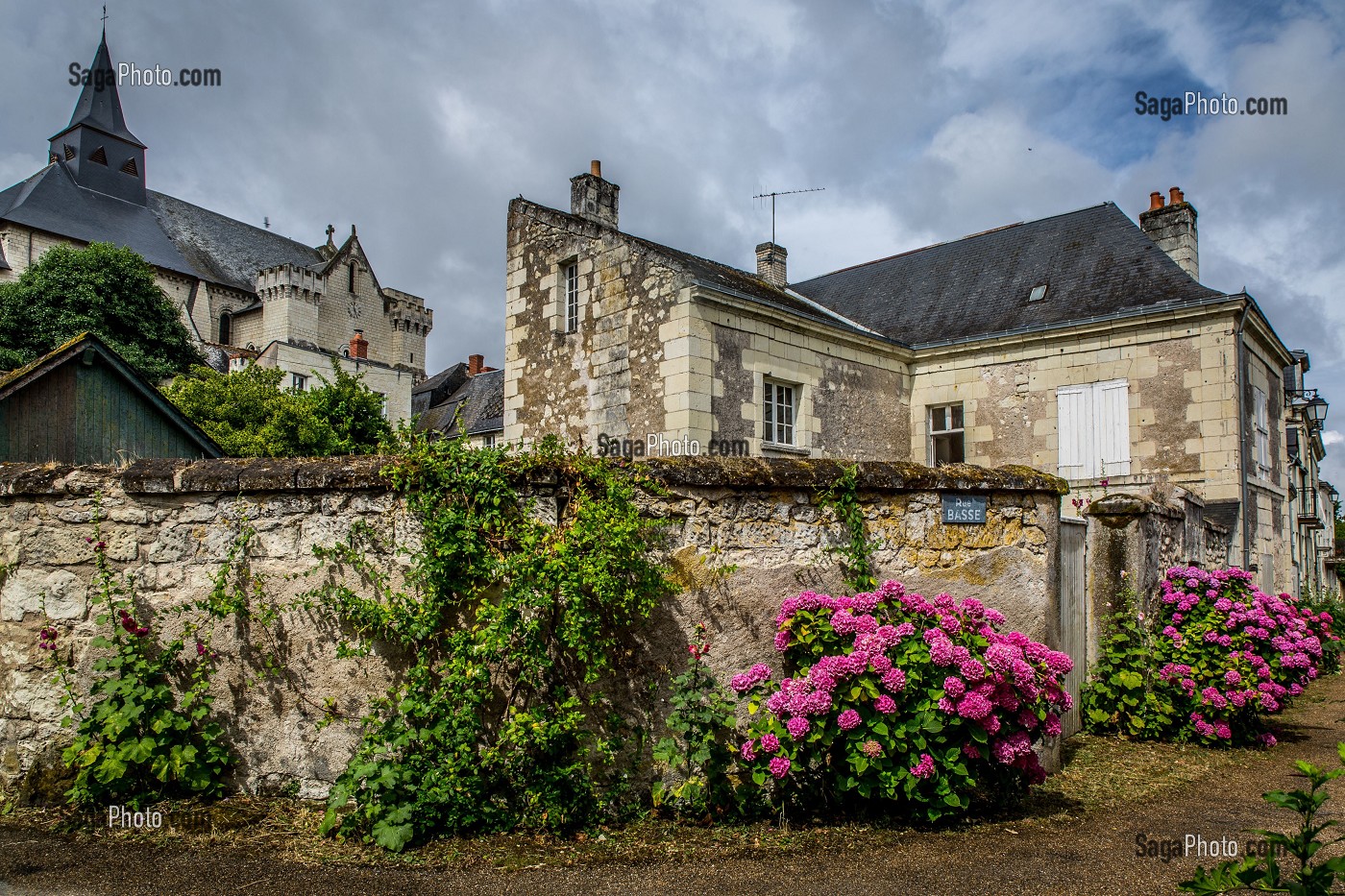 LA LOIRE AU FIL DE L'EAU, INDRE ET LOIRE, (37), REGION CENTRE VAL DE LOIRE, FRANCE 