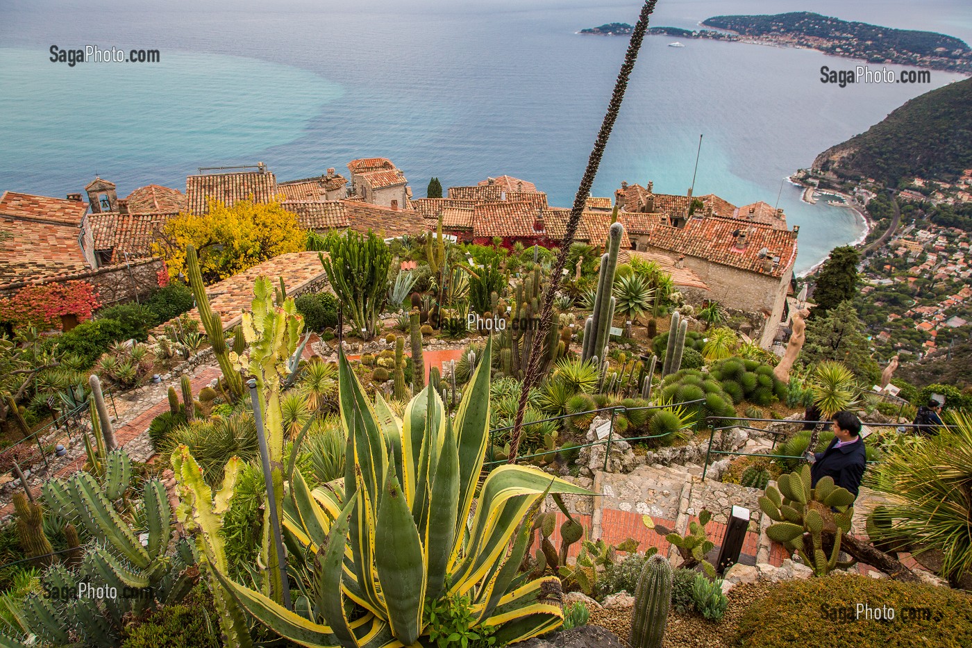 LA ROUTE DU PARFUM, (06) ALPES MARITIMES, PROVENCE ALPES COTE D'AZUR, FRANCE 
