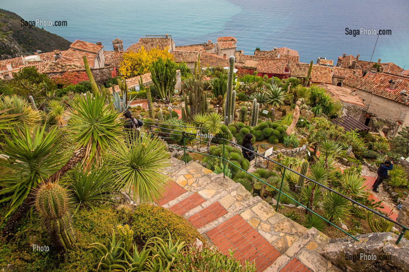 LA ROUTE DU PARFUM, (06) ALPES MARITIMES, PROVENCE ALPES COTE D'AZUR, FRANCE 