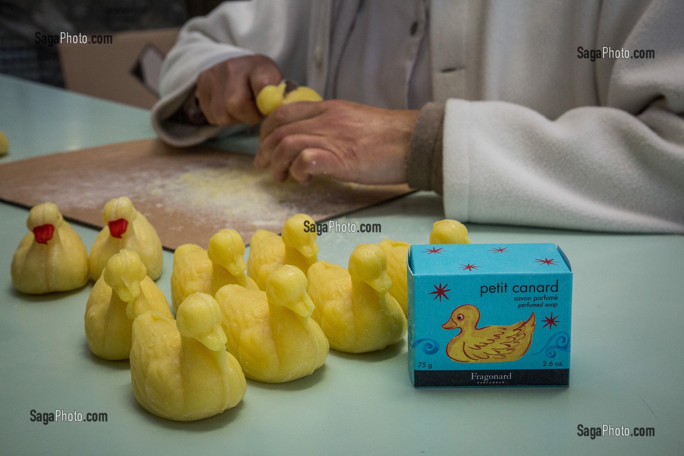 LA ROUTE DU PARFUM, (06) ALPES MARITIMES, PROVENCE ALPES COTE D'AZUR, FRANCE 