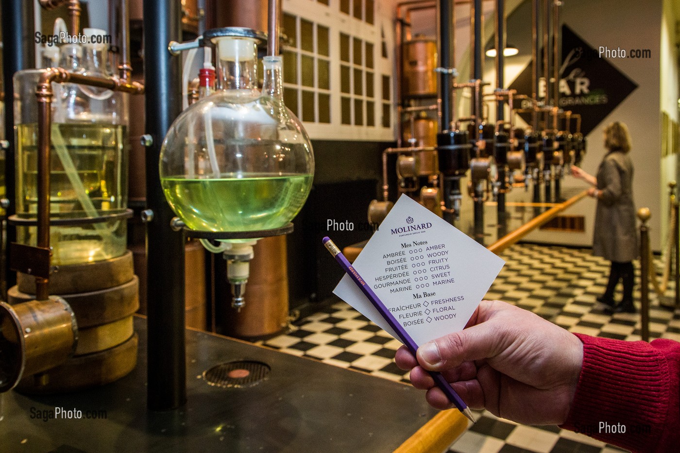 LA ROUTE DU PARFUM, (06) ALPES MARITIMES, PROVENCE ALPES COTE D'AZUR, FRANCE 