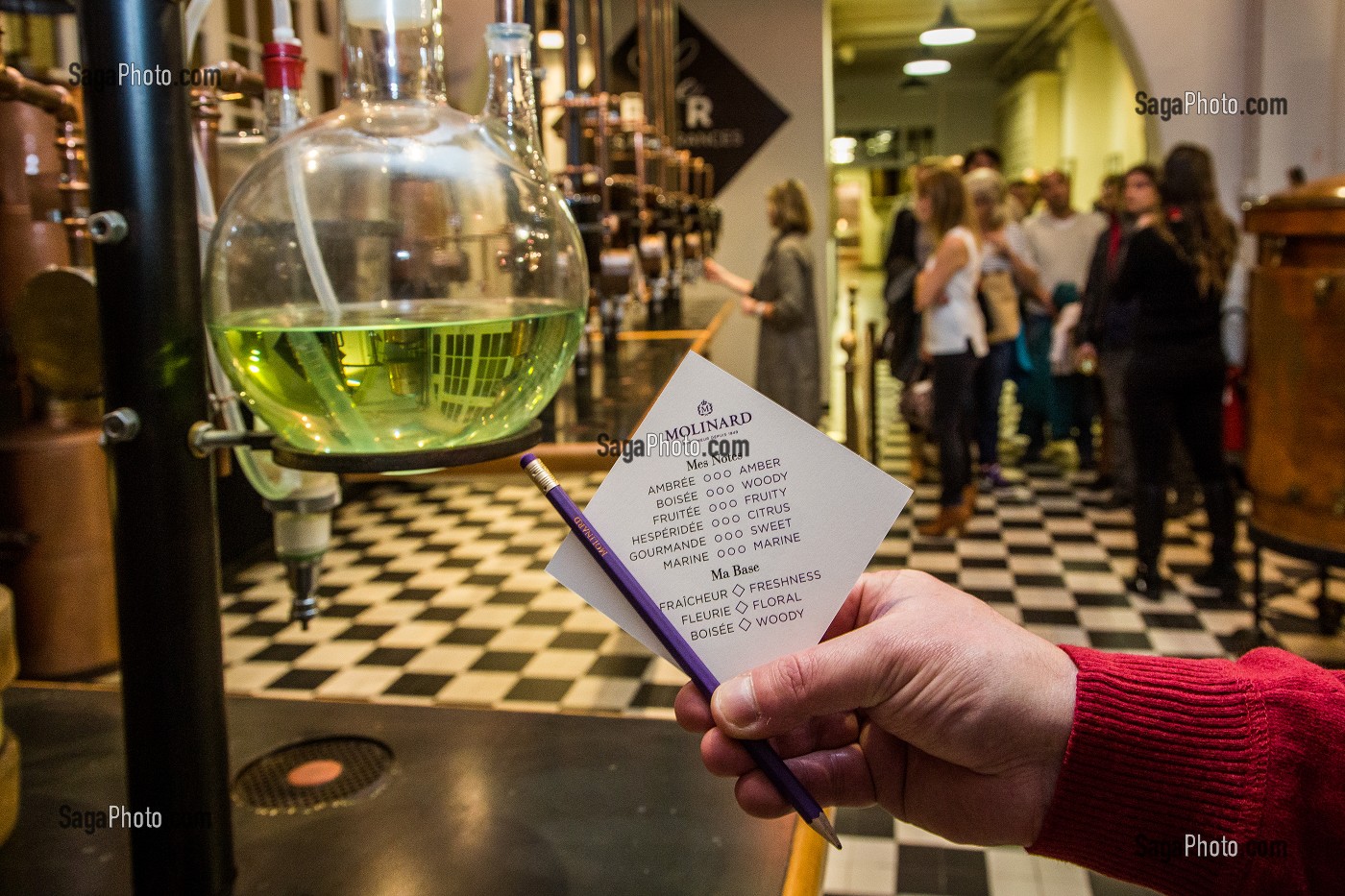 LA ROUTE DU PARFUM, (06) ALPES MARITIMES, PROVENCE ALPES COTE D'AZUR, FRANCE 