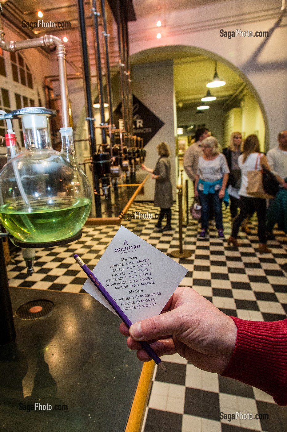 LA ROUTE DU PARFUM, (06) ALPES MARITIMES, PROVENCE ALPES COTE D'AZUR, FRANCE 