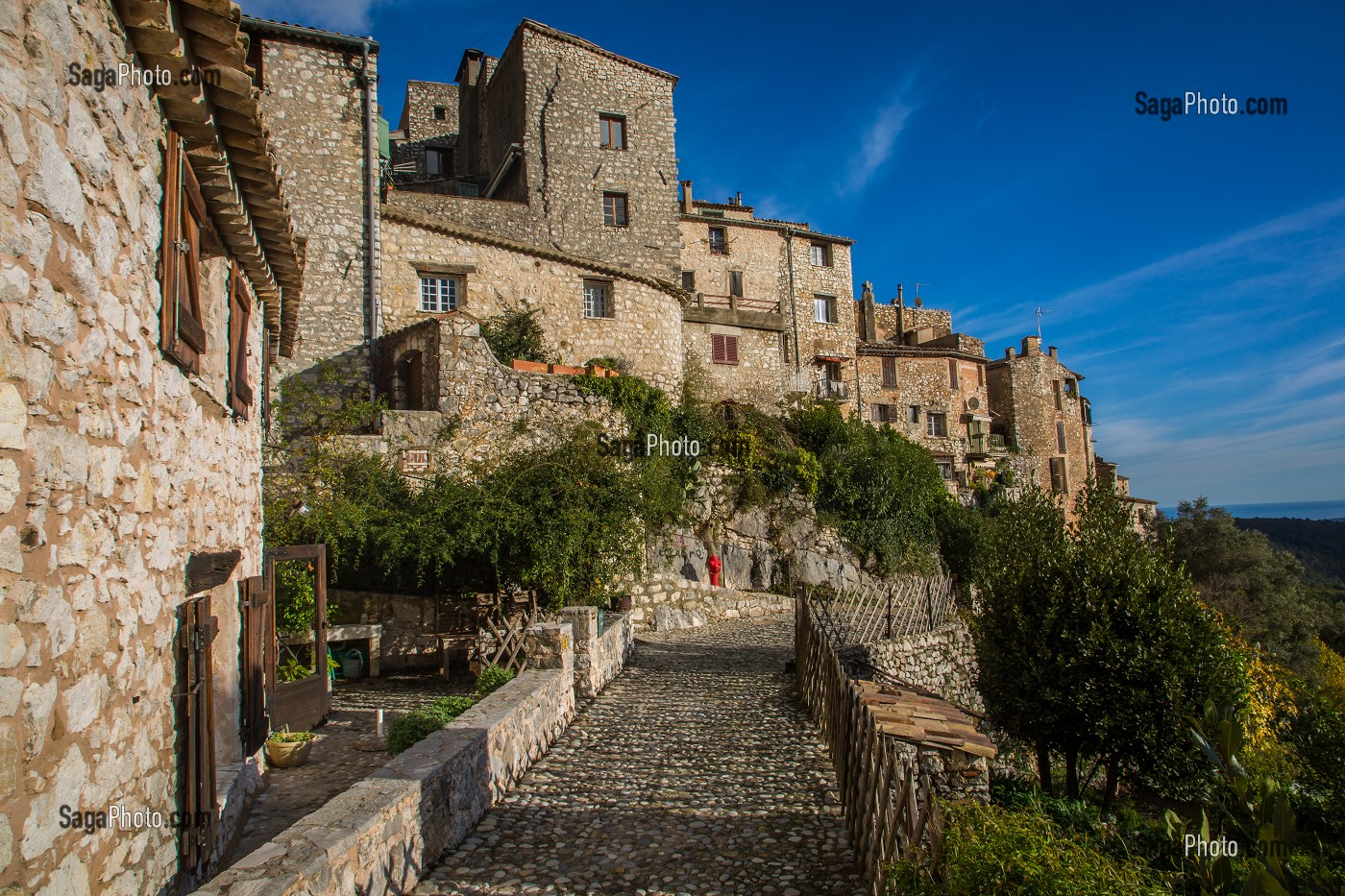 LA ROUTE DU PARFUM, (06) ALPES MARITIMES, PROVENCE ALPES COTE D'AZUR, FRANCE 