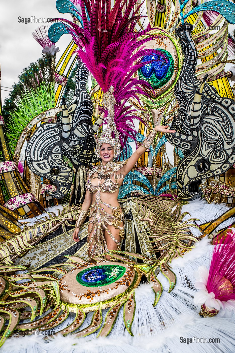 CARNAVAL DE SANTA CRUZ DE TENERIFE, ILE DE TENERIFE, ILES CANARIES, ESPAGNE 