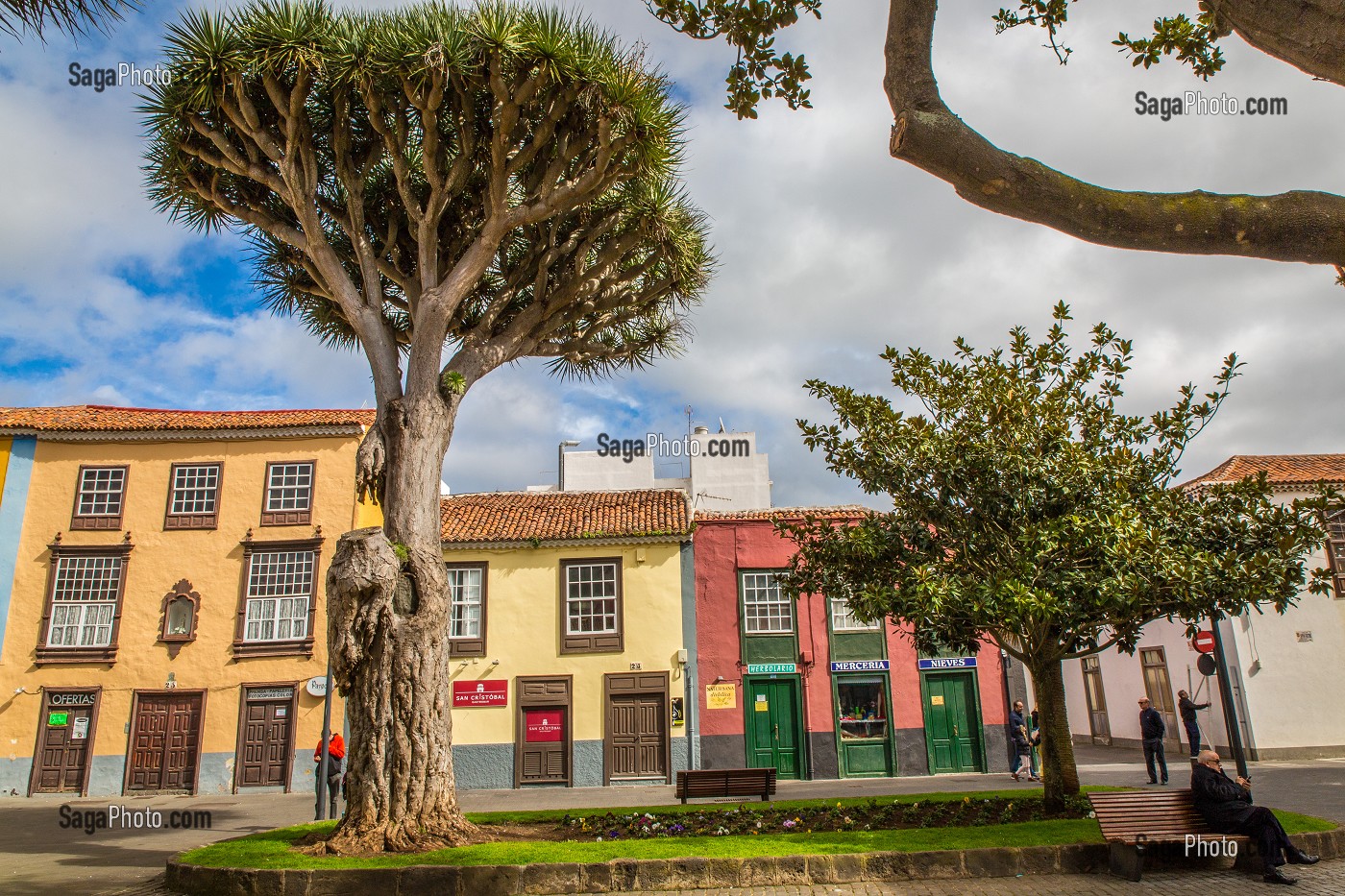 ILE DE TENERIFE, ILES CANARIES ESPAGNE 