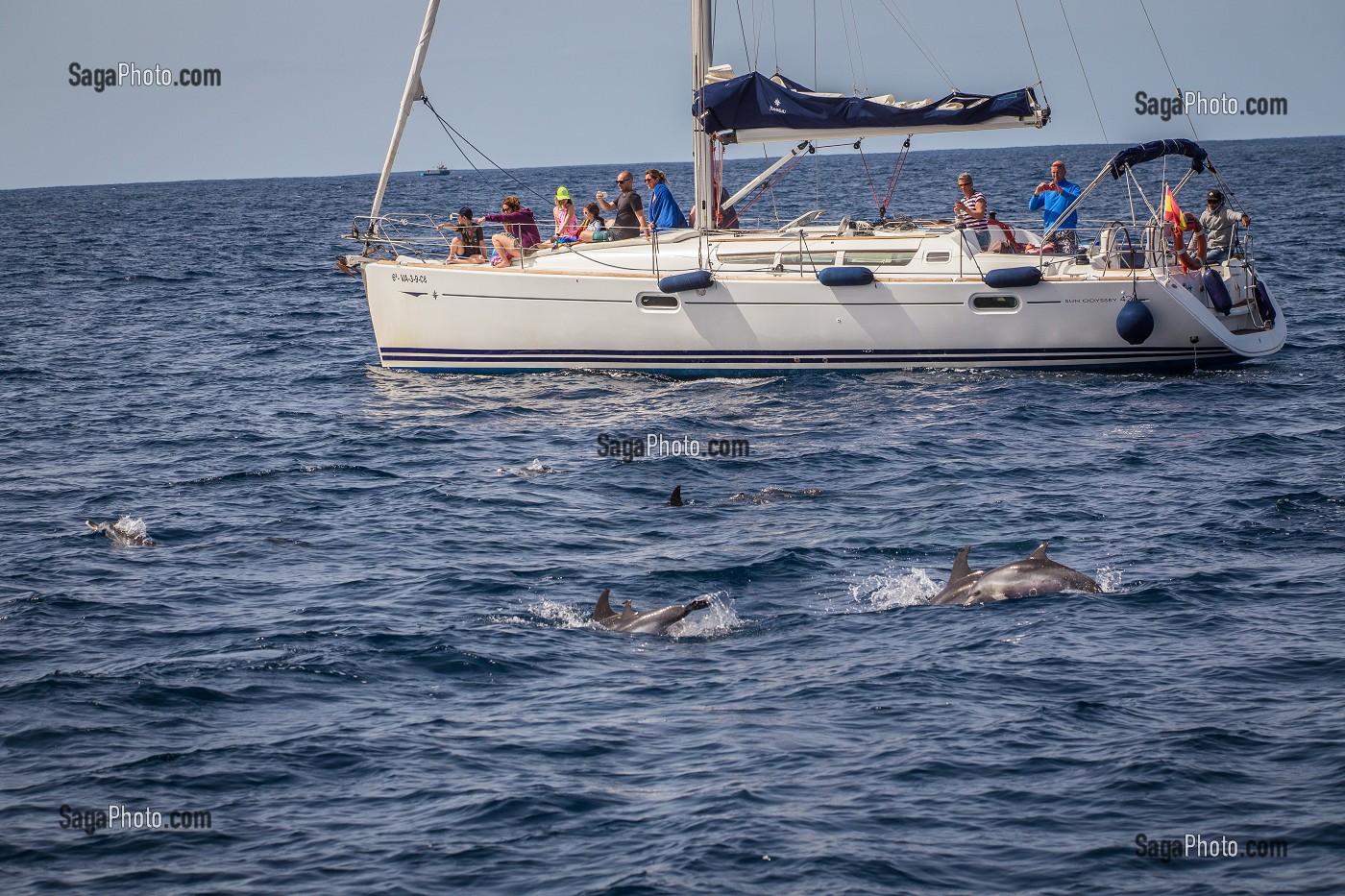 ILE DE TENERIFE, ILES CANARIES, ESPAGNE 