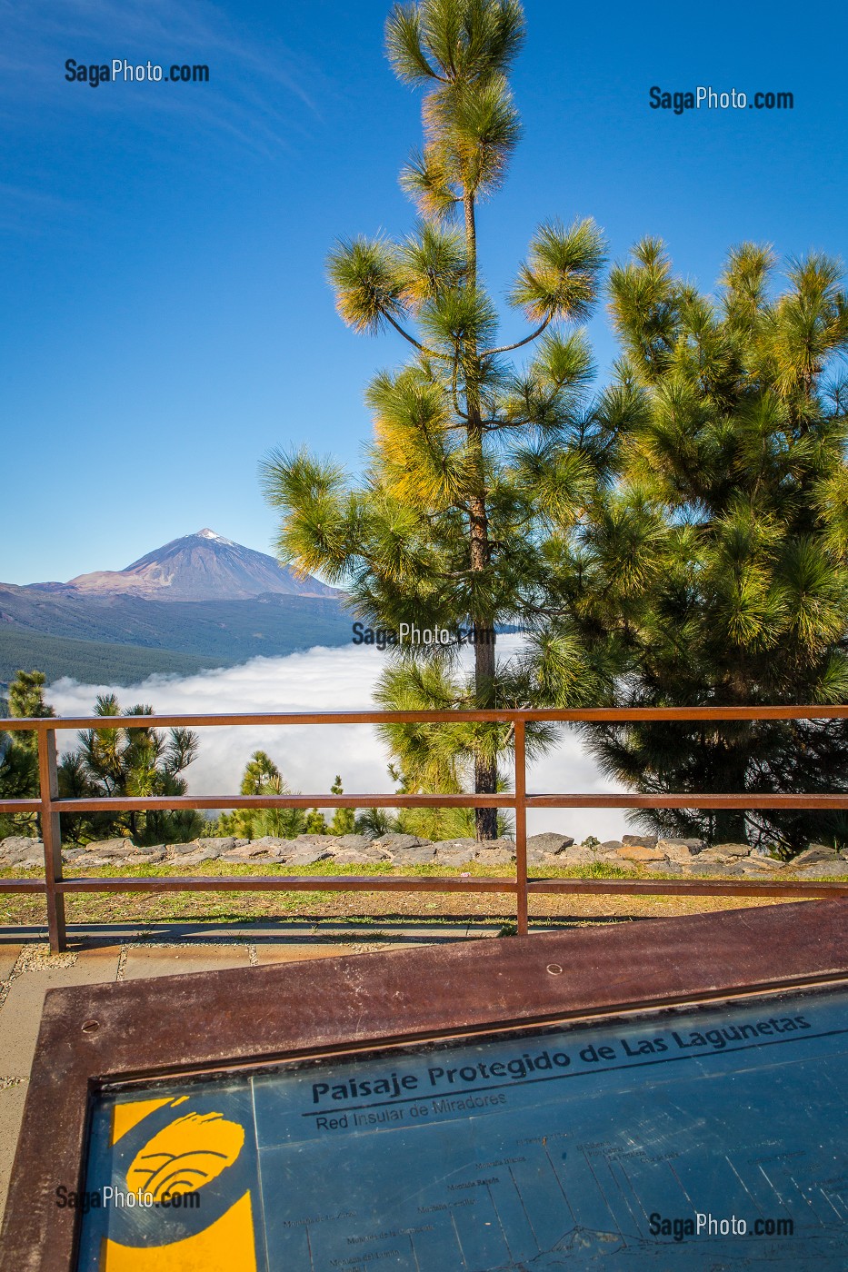 ILE DE TENERIFE, ILES CANARIES, ESPAGNE 