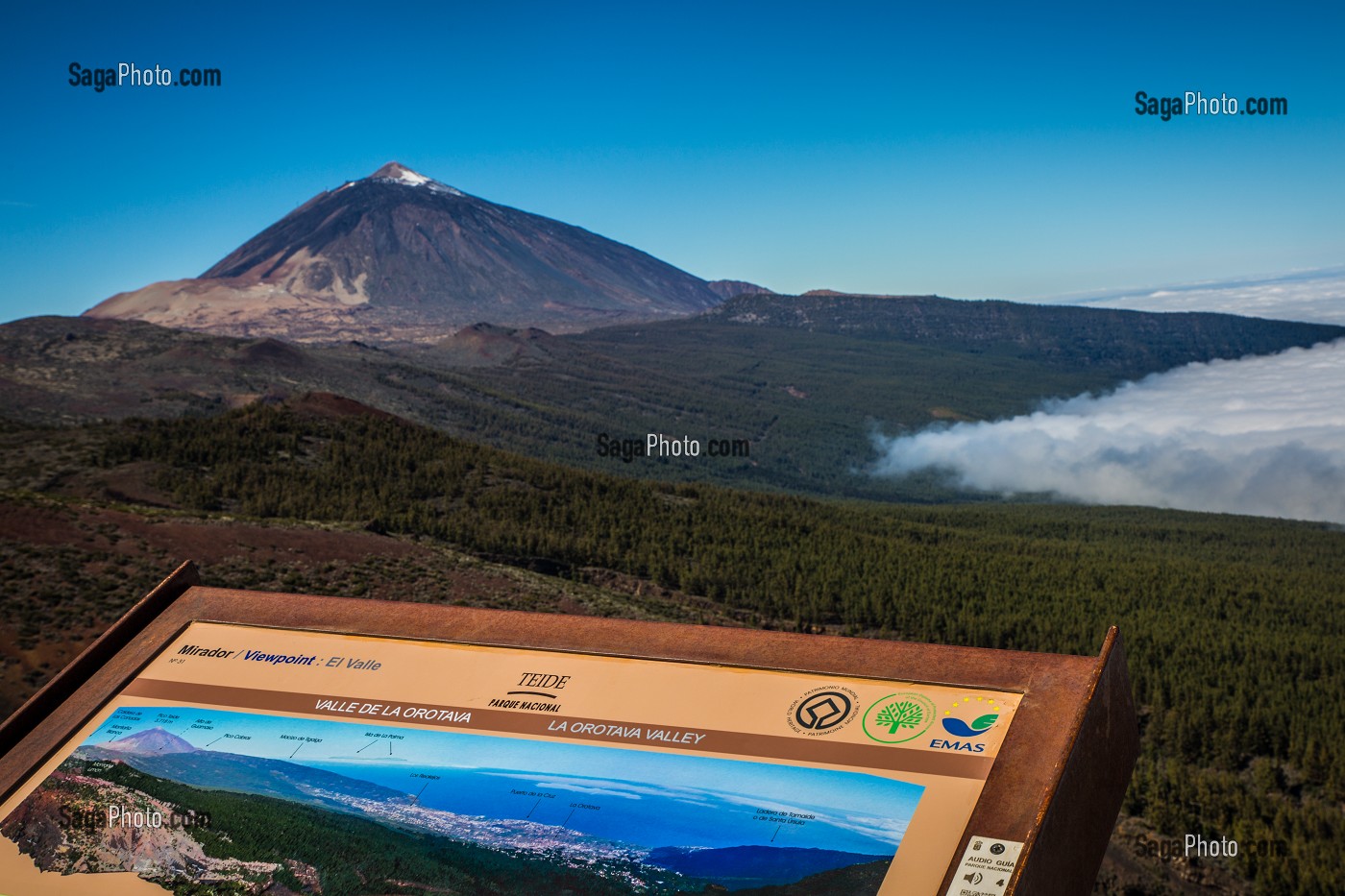ILE DE TENERIFE, ILES CANARIES, ESPAGNE 