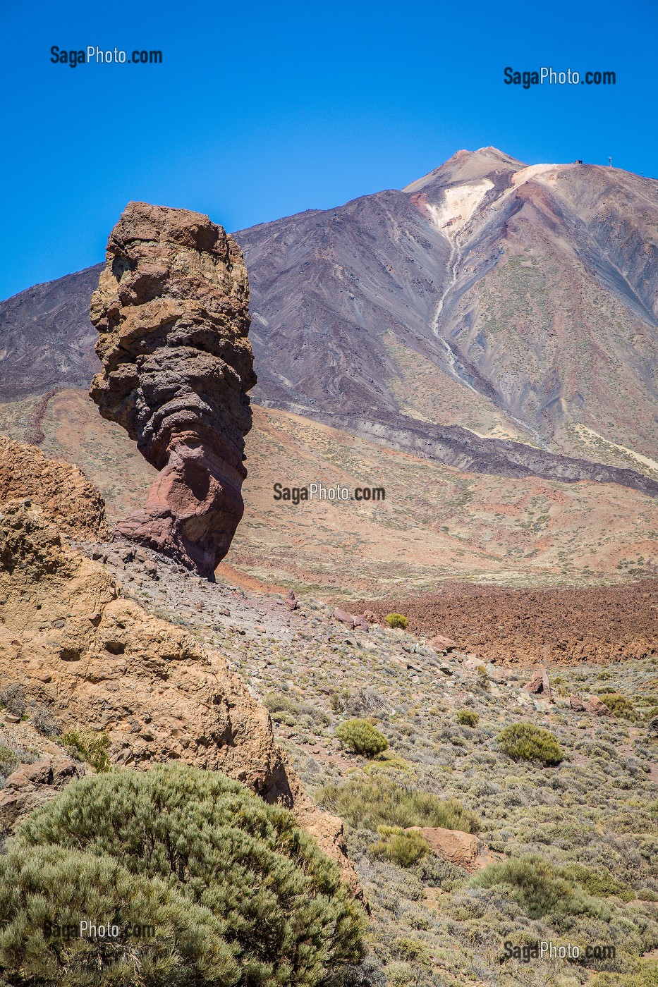 ILE DE TENERIFE, ILES CANARIES, ESPAGNE 