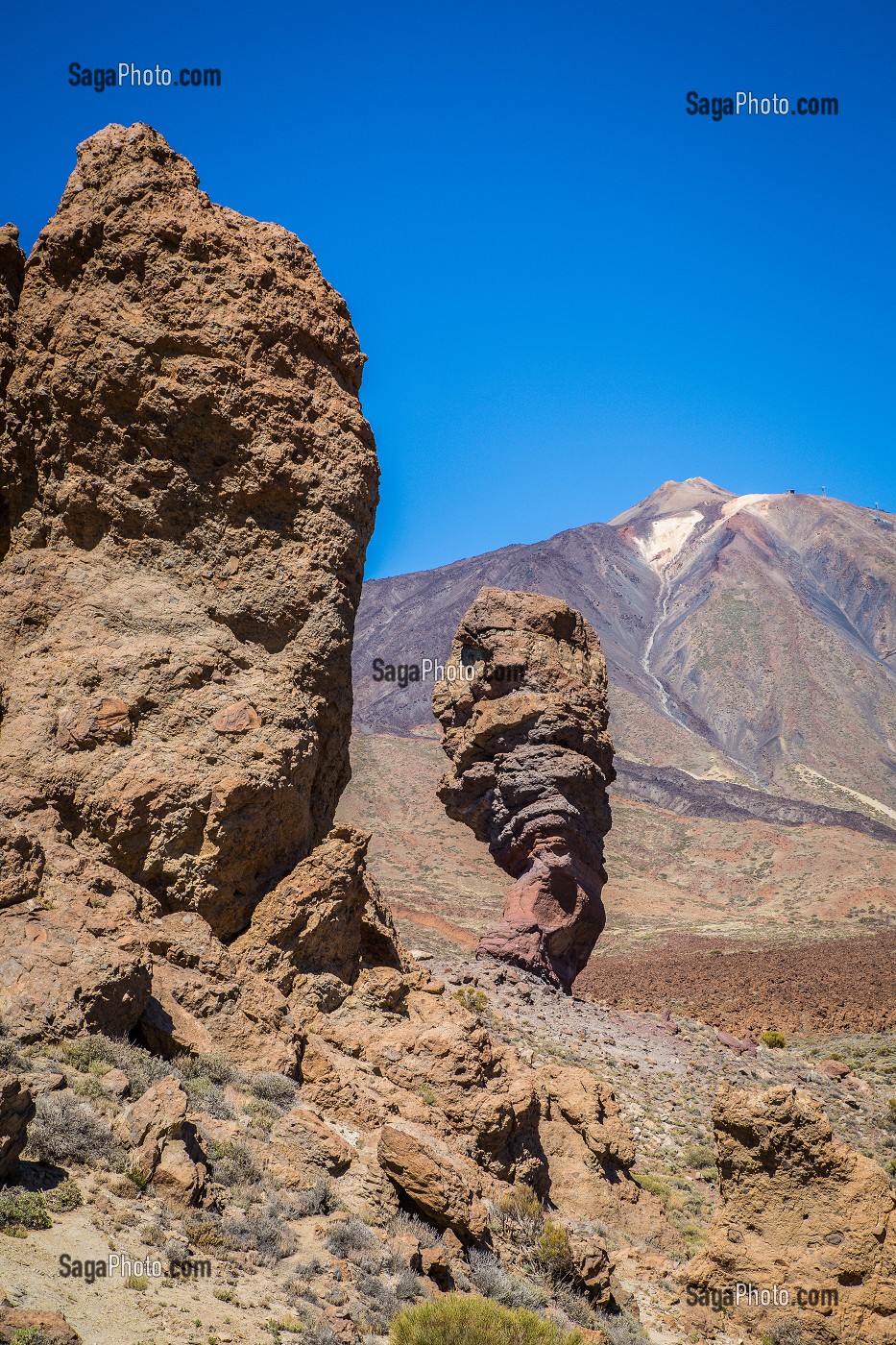 ILE DE TENERIFE, ILES CANARIES, ESPAGNE 
