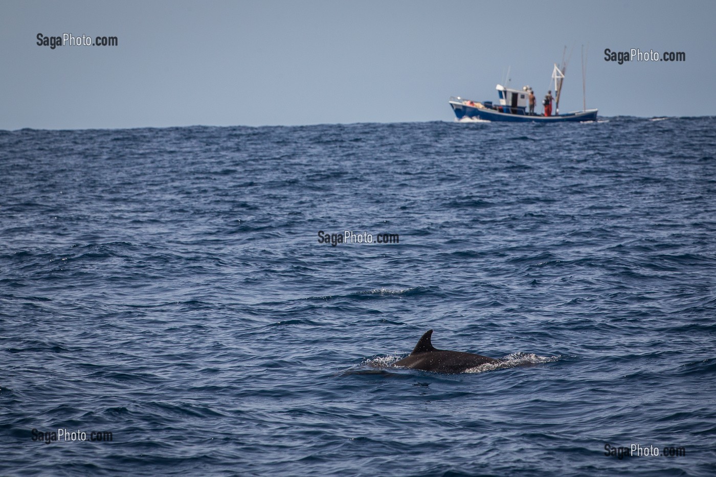ILE DE TENERIFE, ILES CANARIES, ESPAGNE 