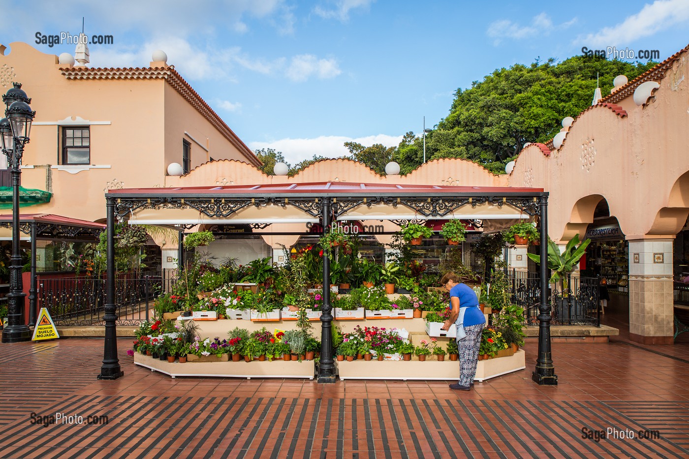 SANTA CRUZ DE TENERIFE, ILE DE TENERIFE, ILES CANARIES, ESPAGNE 