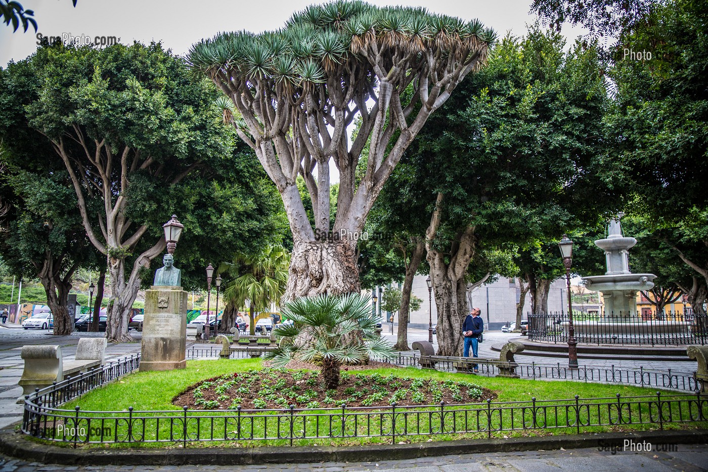 ILE DE TENERIFE, ILES CANARIES, ESPAGNE 
