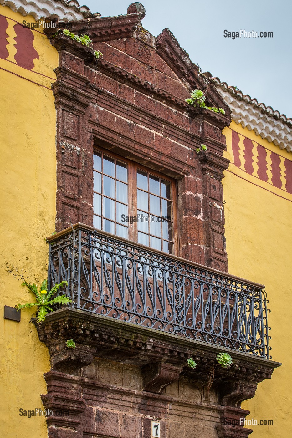 ILE DE TENERIFE, ILES CANARIES, ESPAGNE 