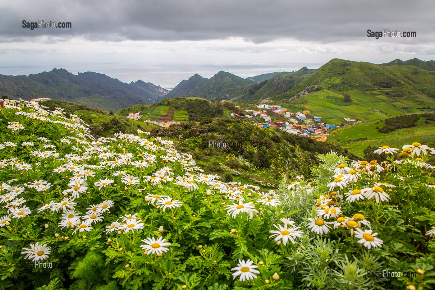 ILE DE TENERIFE, ILES CANARIES, ESPAGNE 