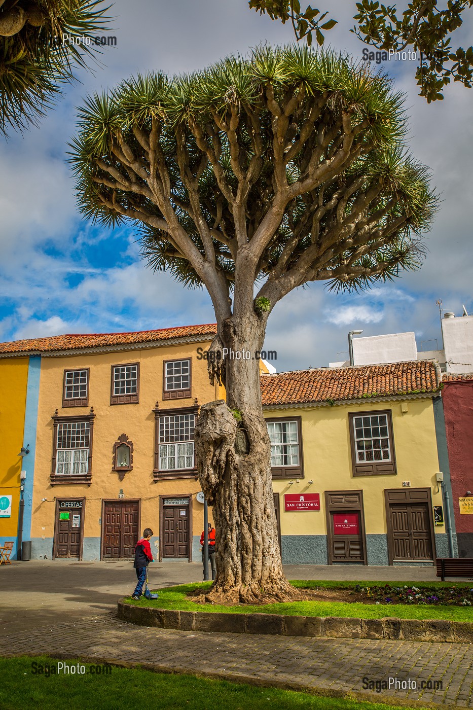 ILE DE TENERIFE, ILES CANARIES, ESPAGNE 