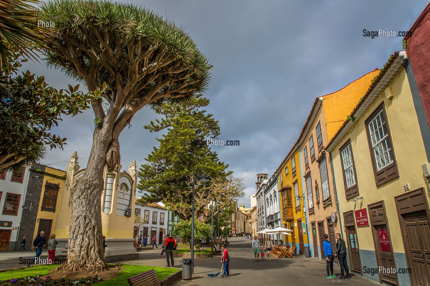 ILE DE TENERIFE, ILES CANARIES, ESPAGNE 