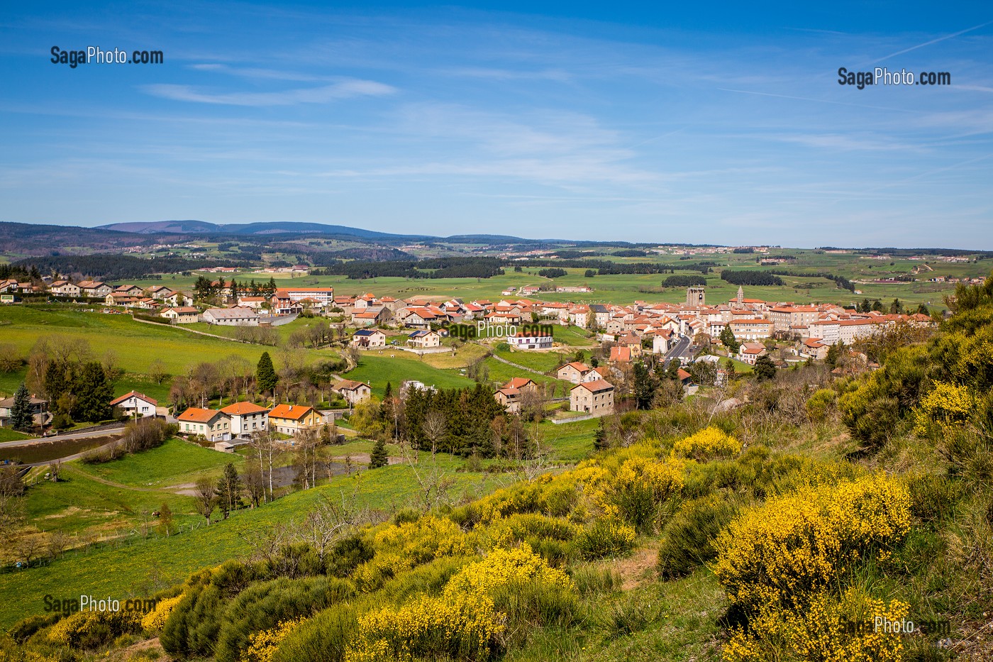 LA BETE DU GEVAUDAN, (43), HAUTE LOIRE, REGION AUVERGNE RHONE ALPES, FRANCE 