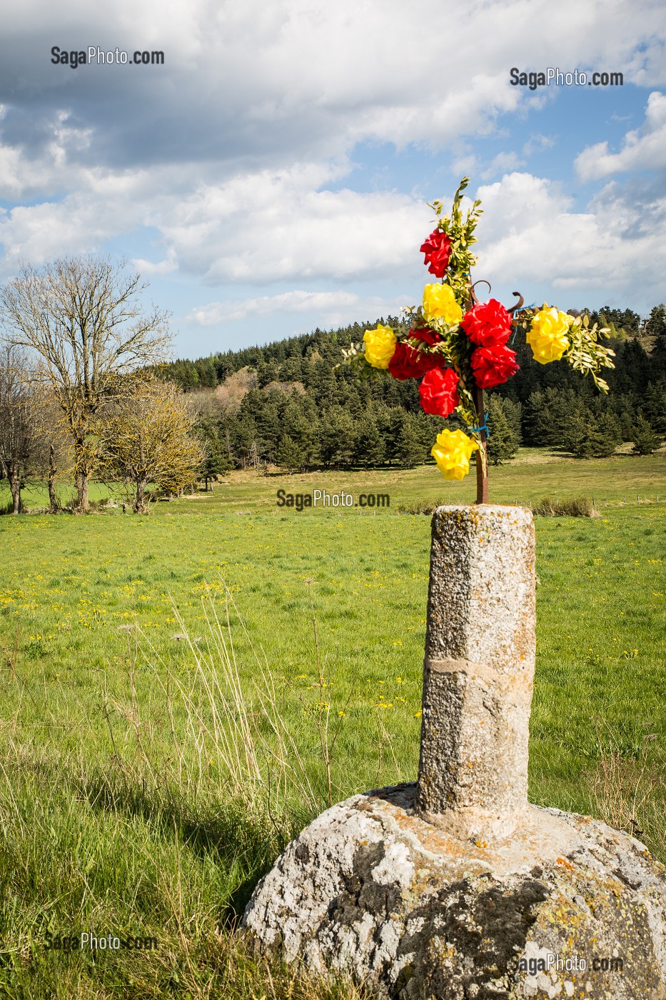 LA BETE DU GEVAUDAN, (43), HAUTE LOIRE, REGION AUVERGNE RHONE ALPES, FRANCE 