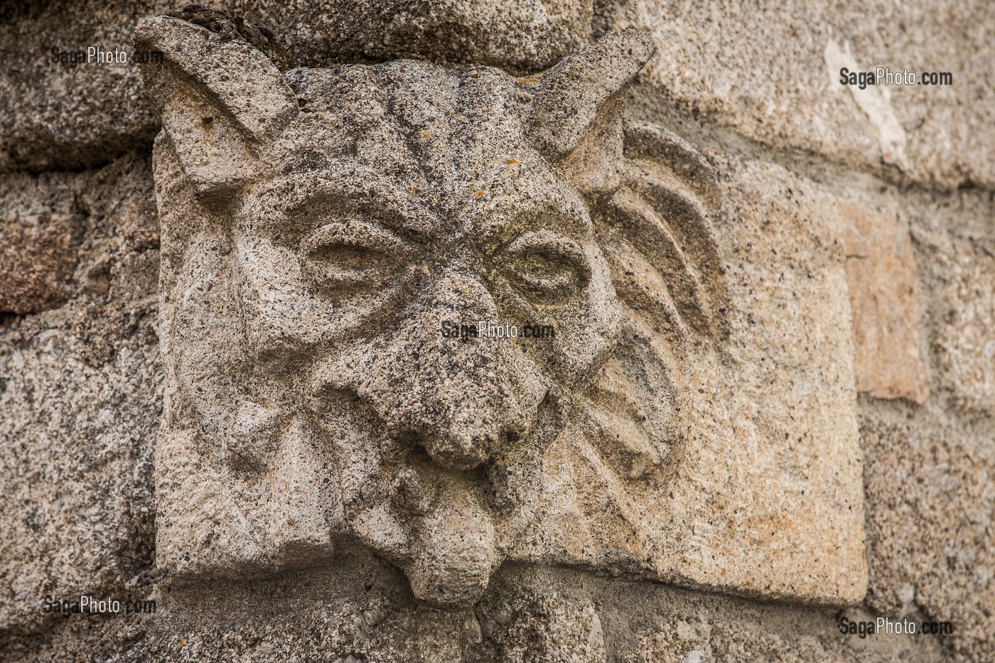 LA BETE DU GEVAUDAN, (43), HAUTE LOIRE, REGION AUVERGNE RHONE ALPES, FRANCE 