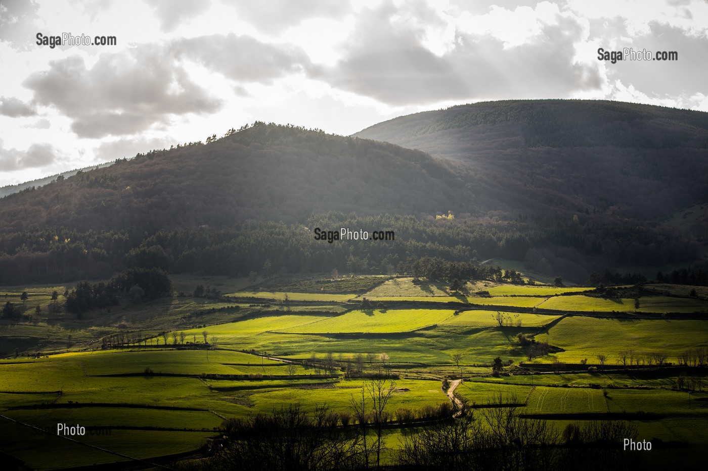LA BETE DU GEVAUDAN, (43), HAUTE LOIRE, REGION AUVERGNE RHONE ALPES, FRANCE 