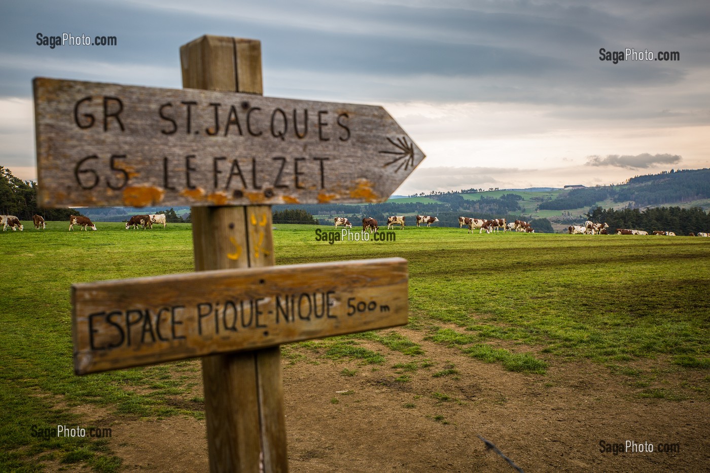 LA BETE DU GEVAUDAN, (43), HAUTE LOIRE, REGION AUVERGNE RHONE ALPES, FRANCE 