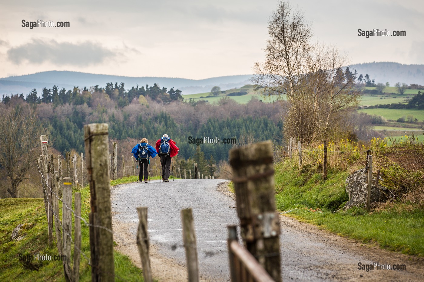 LA BETE DU GEVAUDAN, (43), HAUTE LOIRE, REGION AUVERGNE RHONE ALPES, FRANCE 