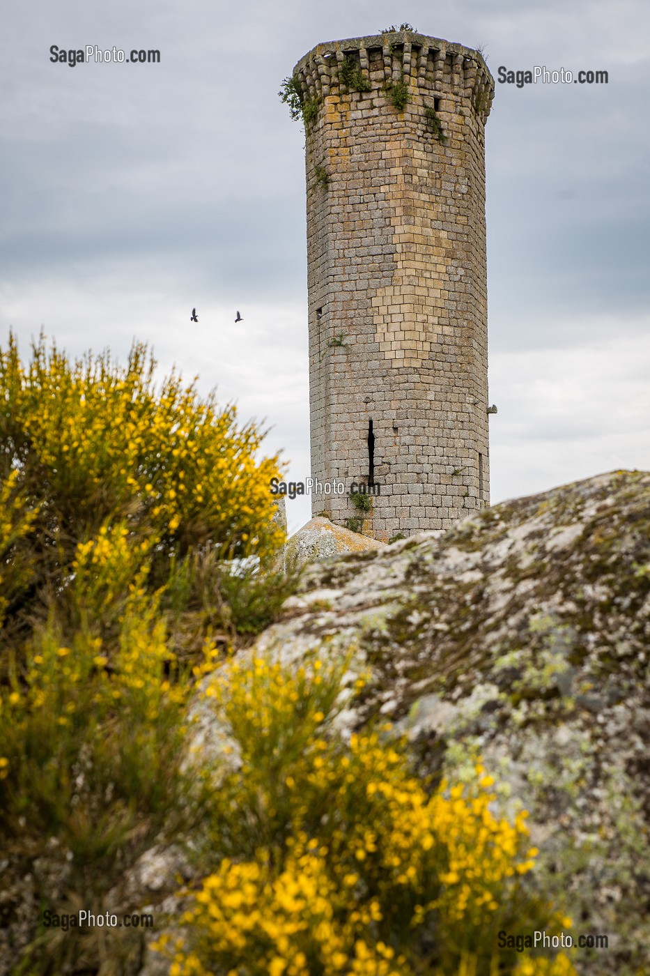 LA BETE DU GEVAUDAN, (43), HAUTE LOIRE, REGION AUVERGNE RHONE ALPES, FRANCE 