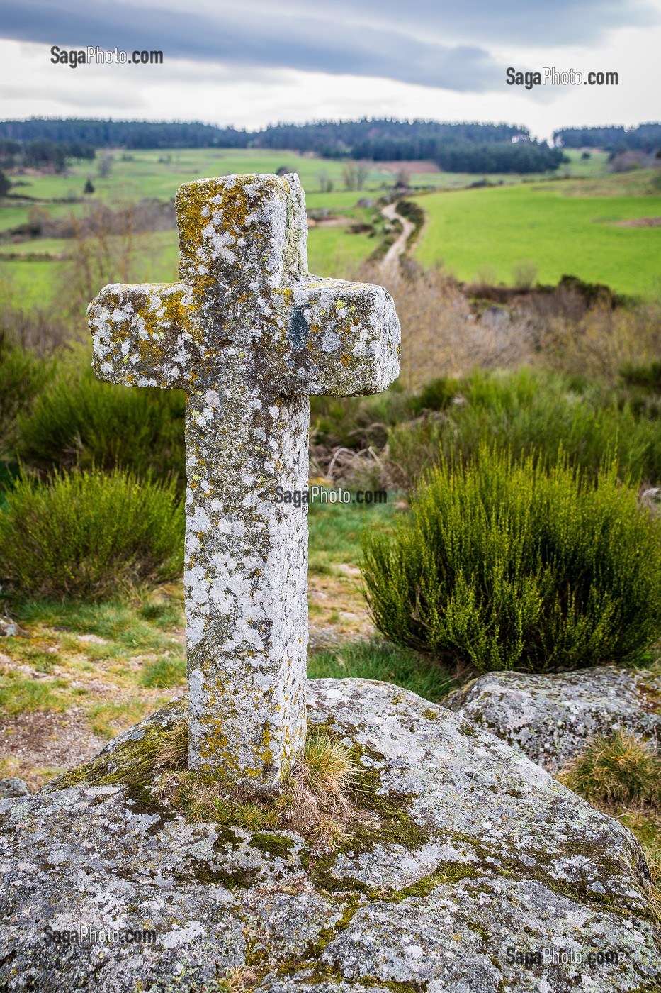 LA BETE DU GEVAUDAN, (43), HAUTE LOIRE, REGION AUVERGNE RHONE ALPES, FRANCE 