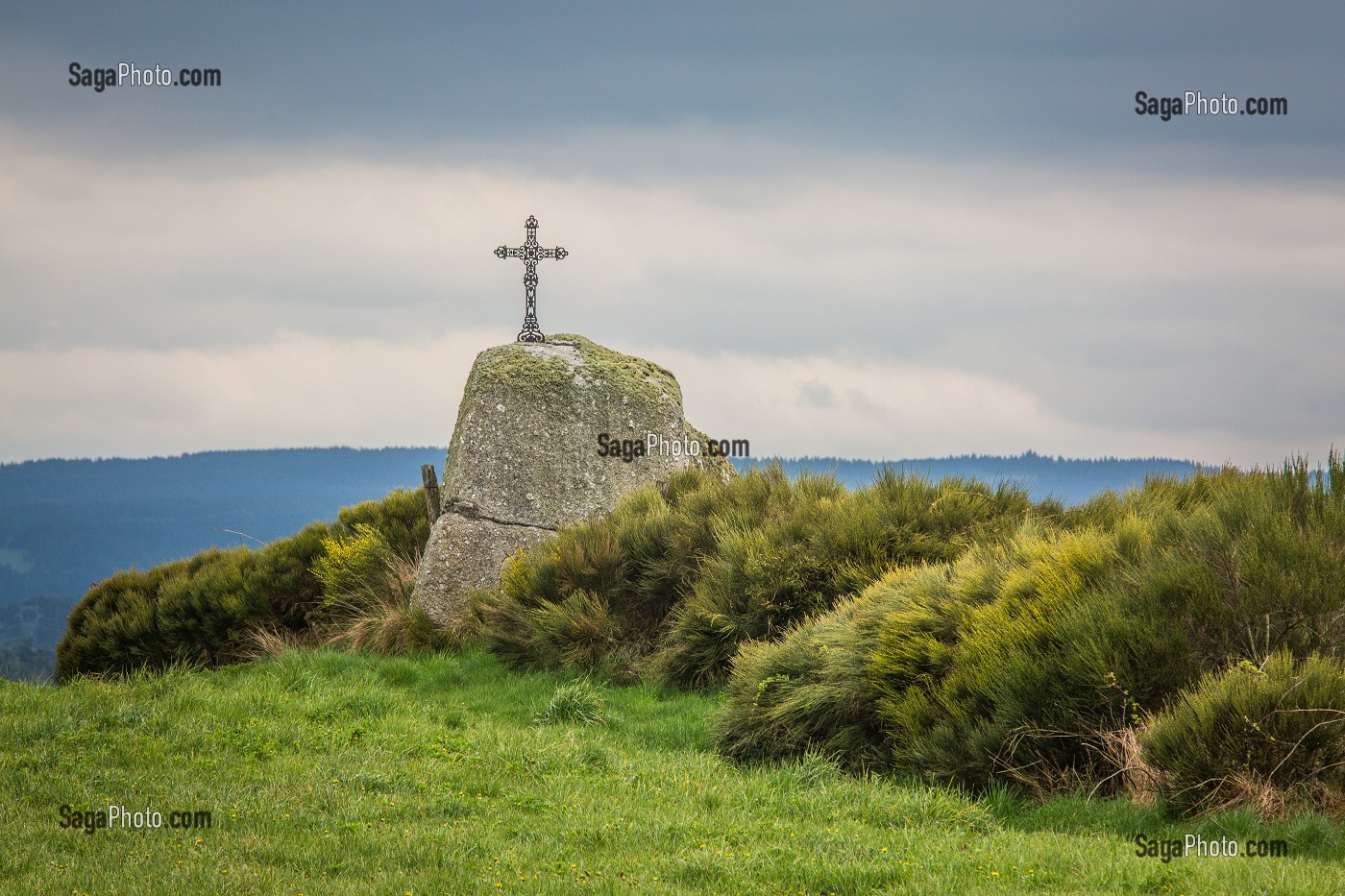 LA BETE DU GEVAUDAN, (43), HAUTE LOIRE, REGION AUVERGNE RHONE ALPES, FRANCE 