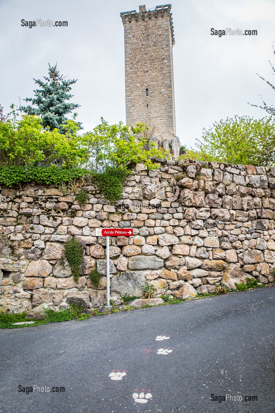 LA BETE DU GEVAUDAN, (48), LOZERE, REGION OCCITANIE, FRANCE 