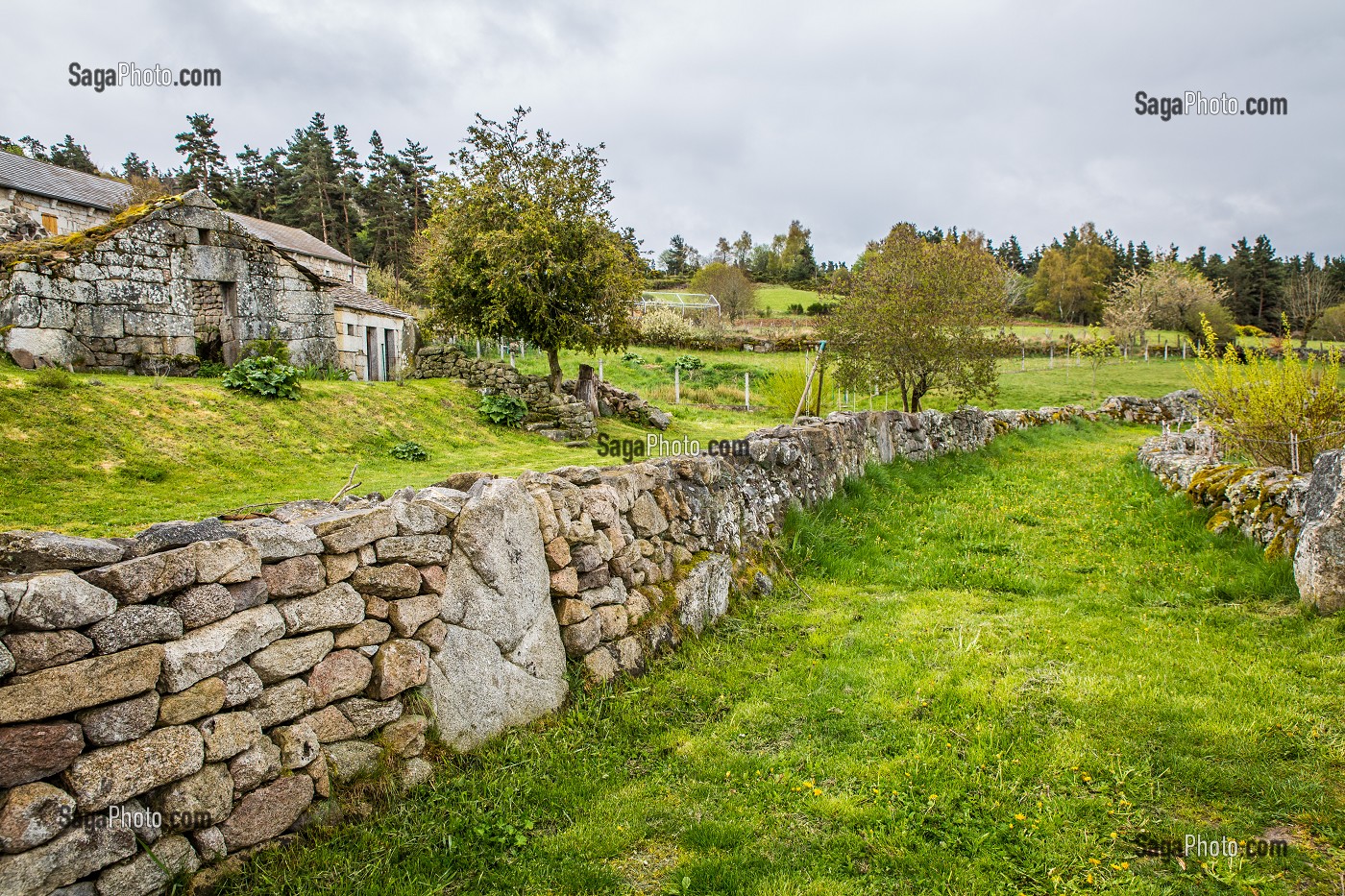 LA BETE DU GEVAUDAN, (48), LOZERE, REGION OCCITANIE, FRANCE 