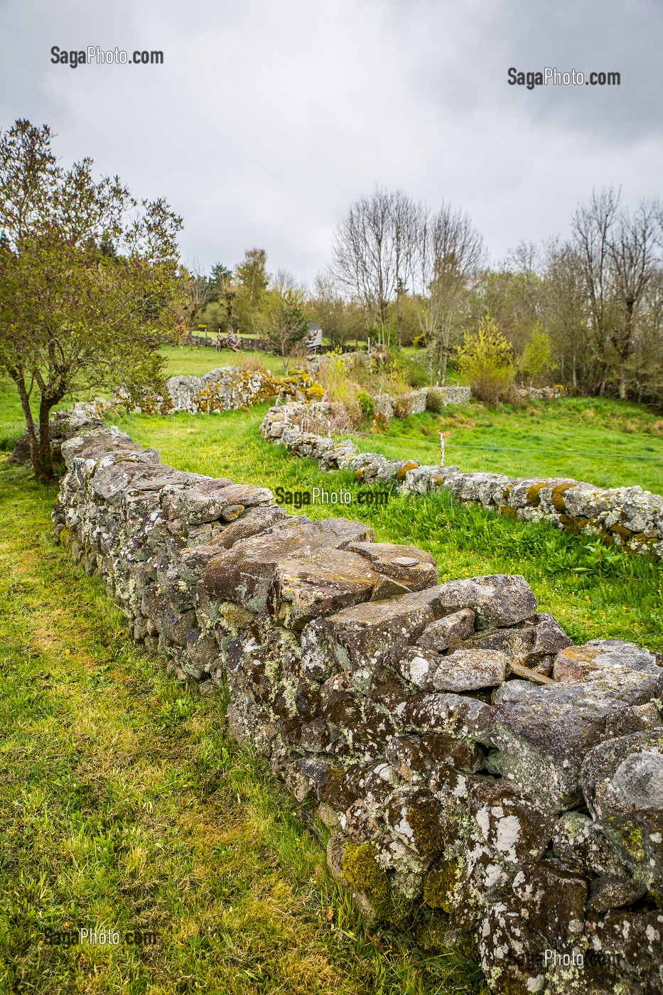 LA BETE DU GEVAUDAN, (48), LOZERE, REGION OCCITANIE, FRANCE 