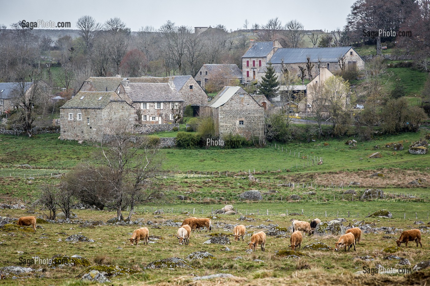 LA BETE DU GEVAUDAN, (48), LOZERE, REGION OCCITANIE, FRANCE 