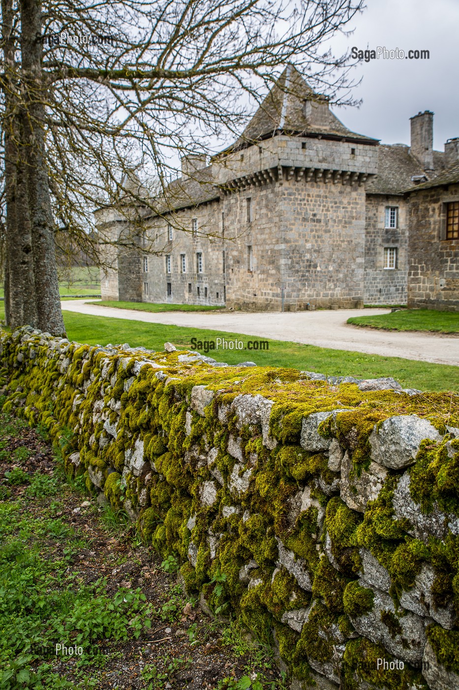 LA BETE DU GEVAUDAN, (48), LOZERE, REGION OCCITANIE, FRANCE 
