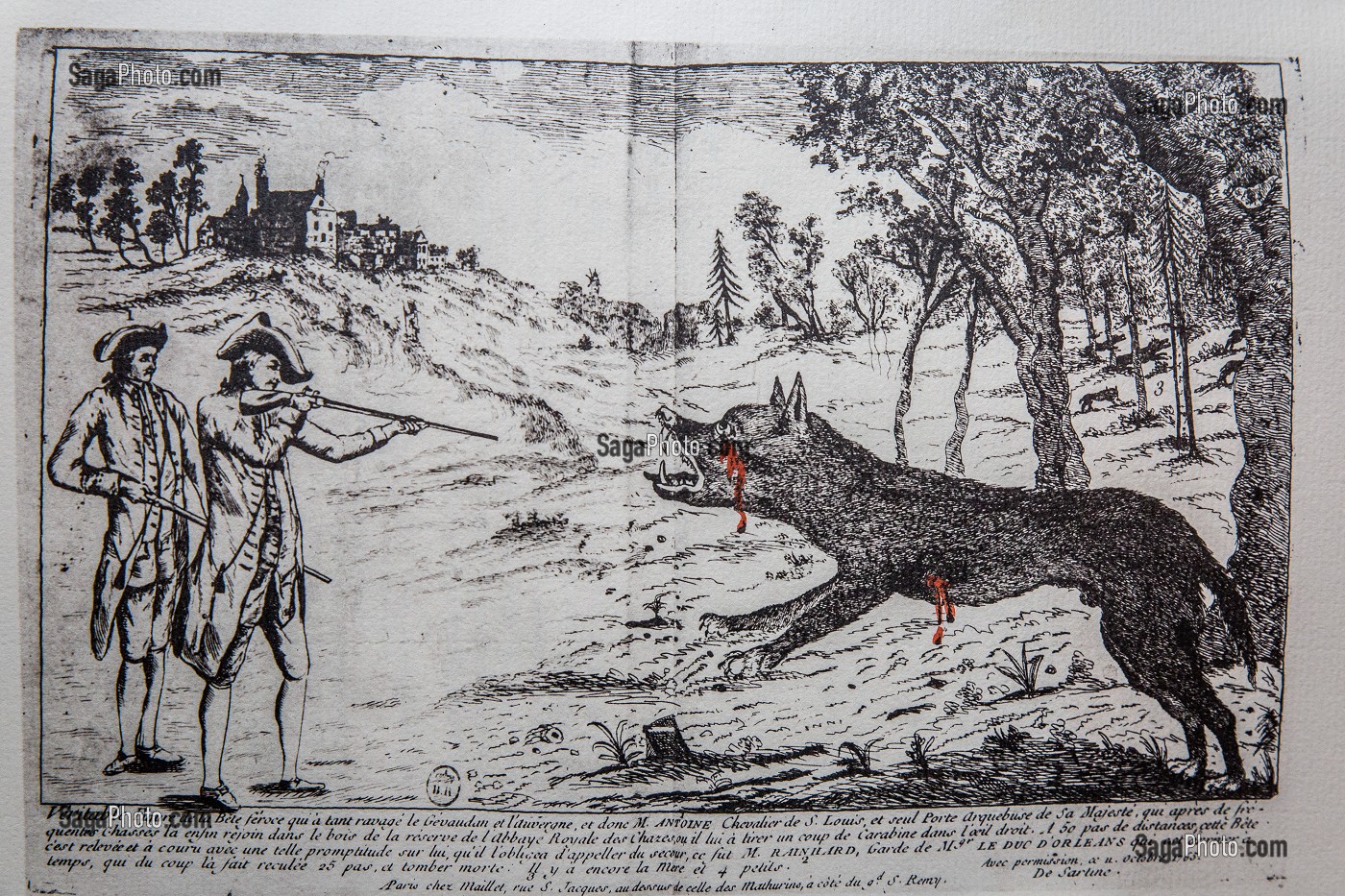 GRAVURE BETE DU GEVAUDAN 