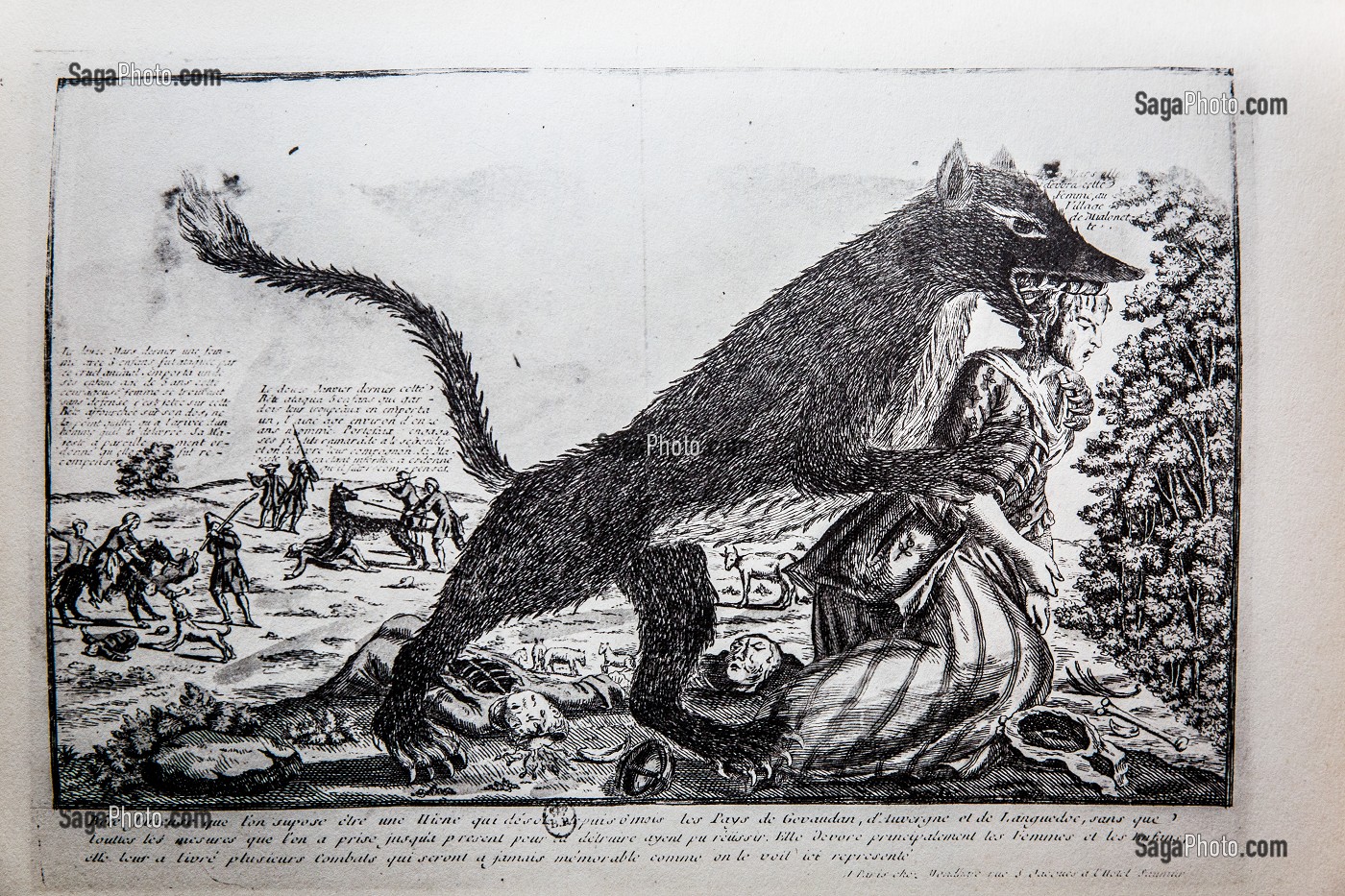 GRAVURE BETE DU GEVAUDAN 