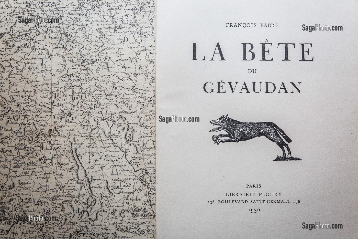 LA BETE DU GEVAUDAN