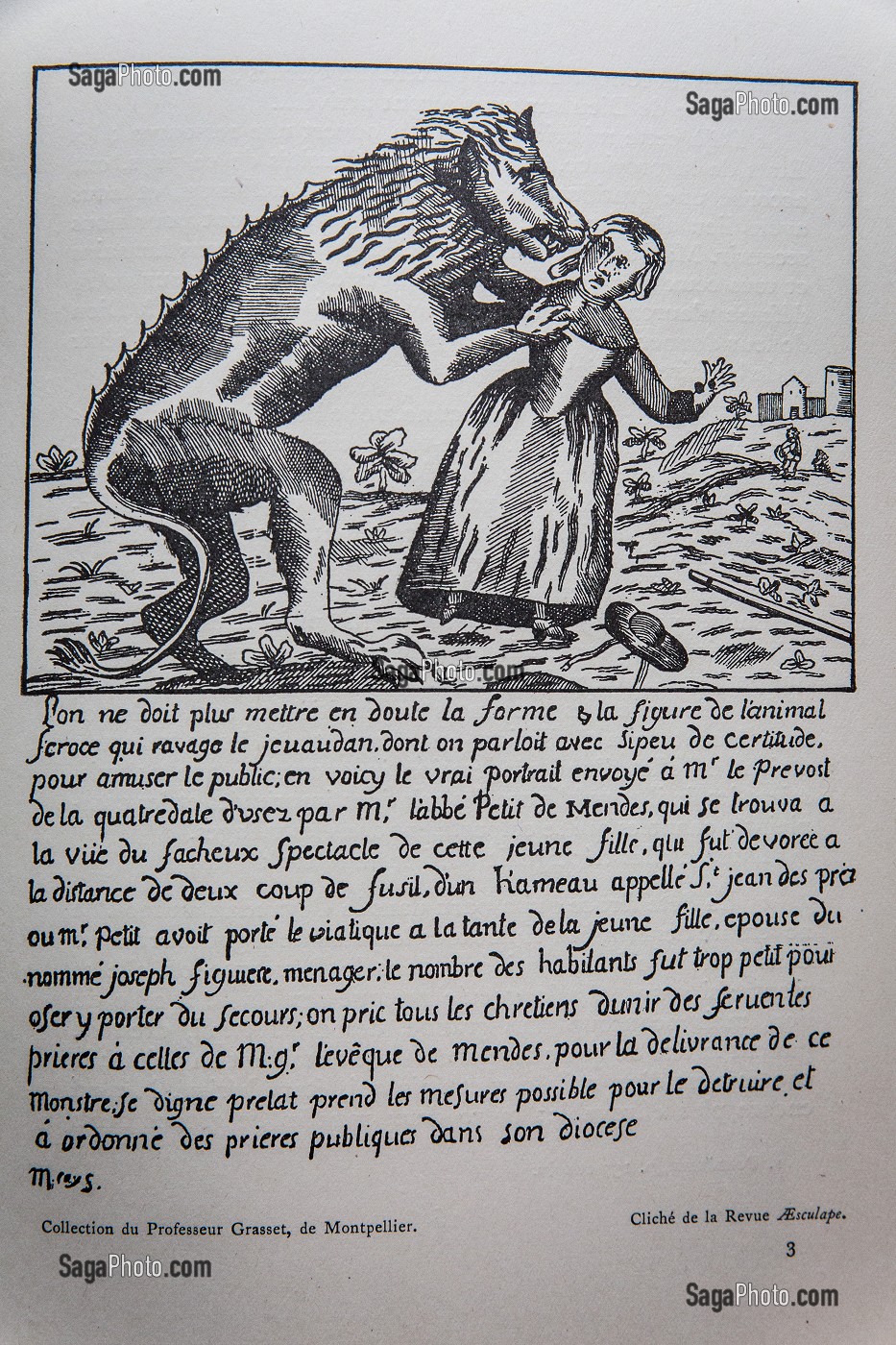 GRAVURE BETE DU GEVAUDAN 