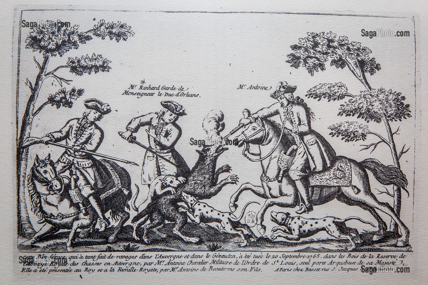 GRAVURE BETE DU GEVAUDAN 