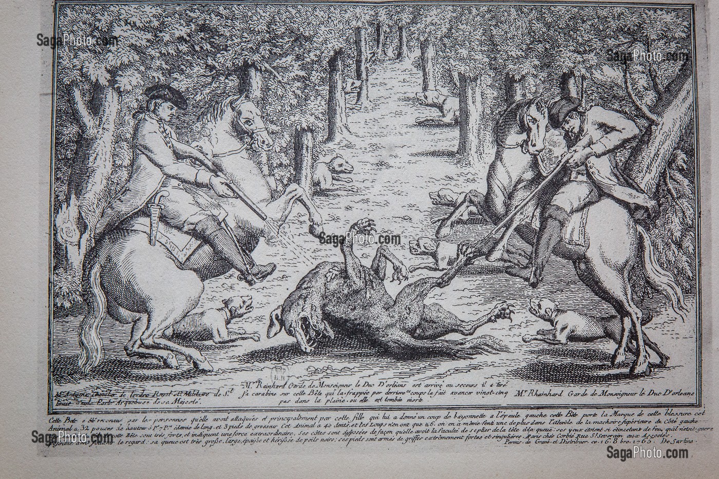 GRAVURE BETE DU GEVAUDAN 