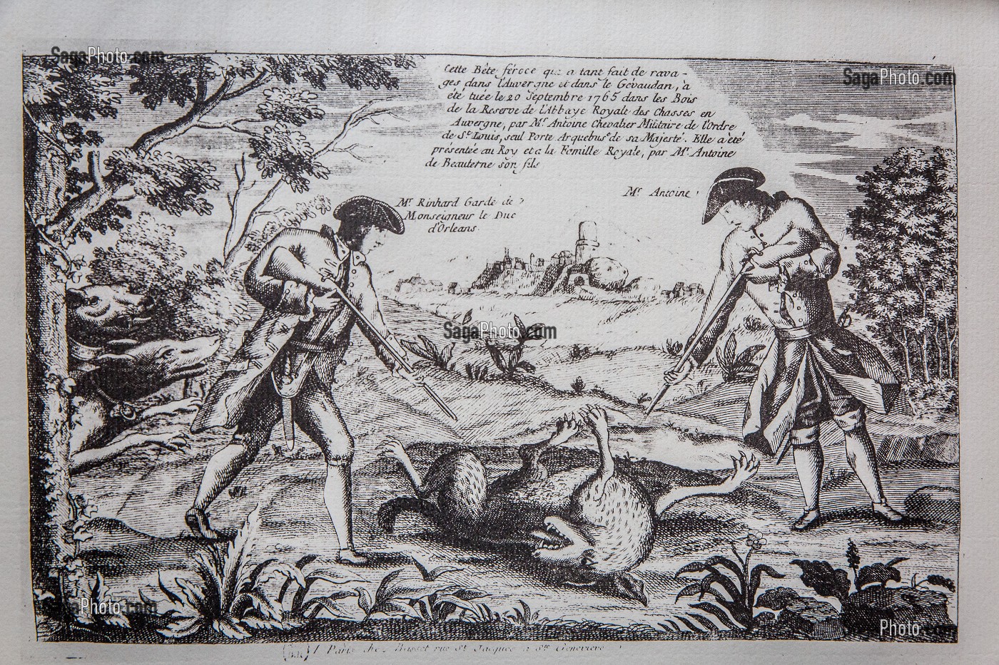 GRAVURE BETE DU GEVAUDAN 
