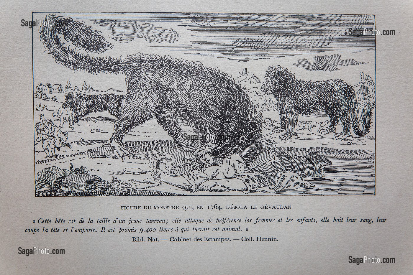 GRAVURE BETE DU GEVAUDAN 