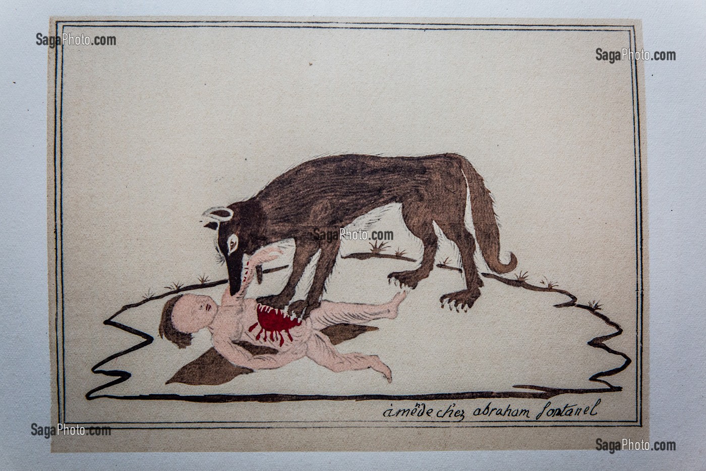 GRAVURE BETE DU GEVAUDAN 