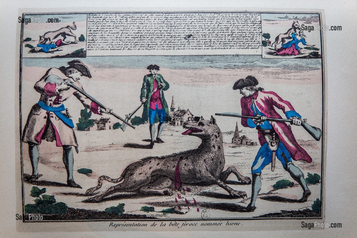 GRAVURE BETE DU GEVAUDAN 