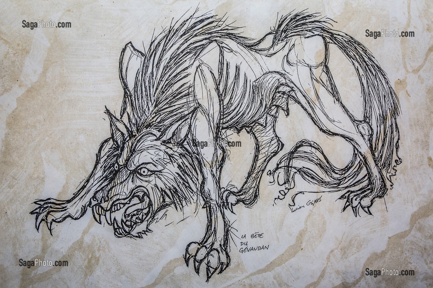GRAVURE BETE DU GEVAUDAN 