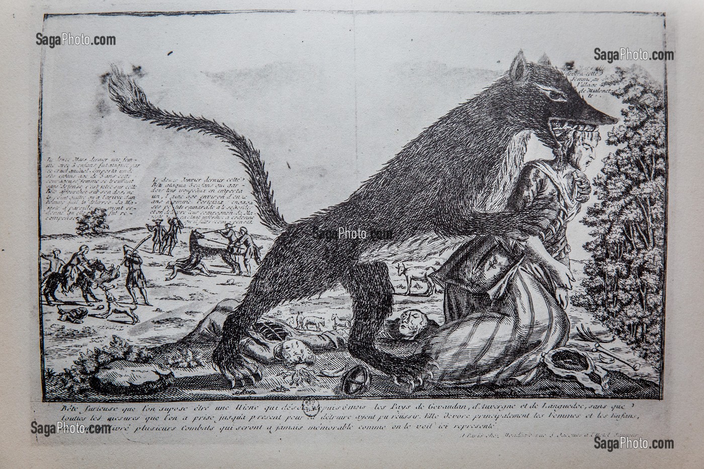 GRAVURE BETE DU GEVAUDAN 