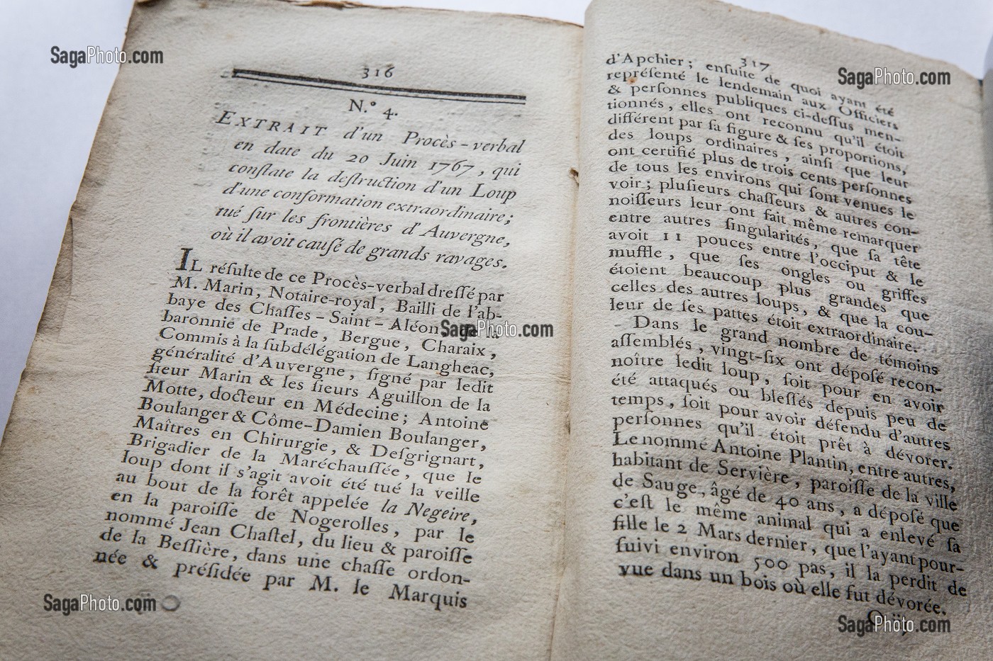 GRAVURE BETE DU GEVAUDAN 