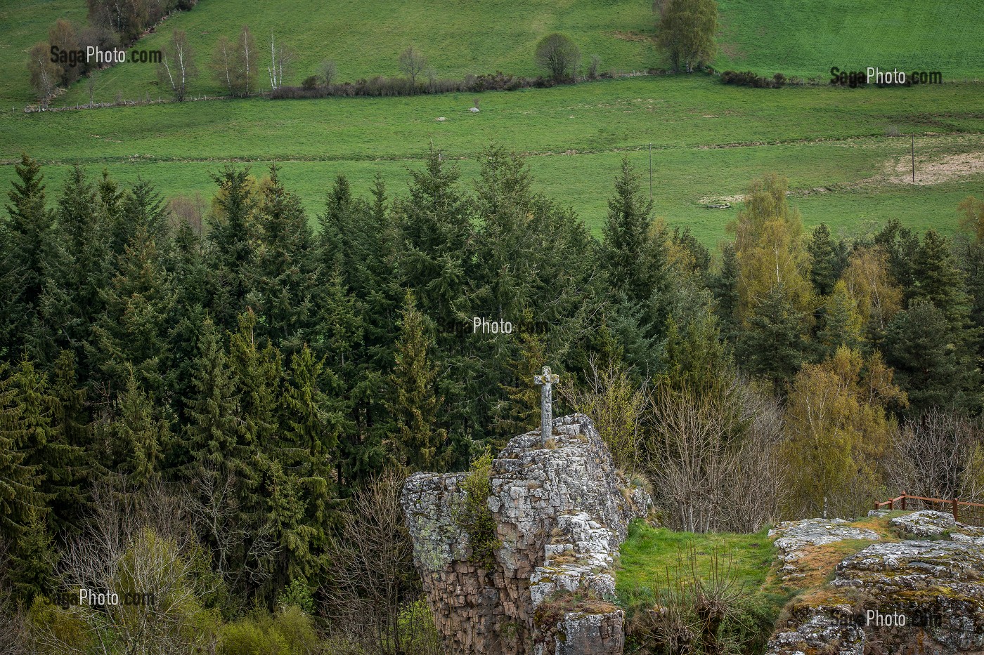 LA BETE DU GEVAUDAN, (48), LOZERE, REGION OCCITANIE, FRANCE 